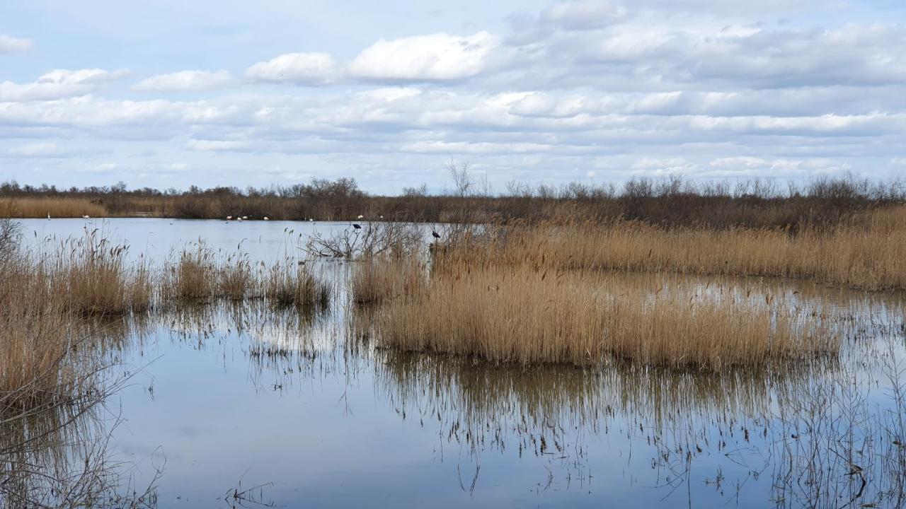 Appartement La Tour Du Sel Aigues-Mortes Eksteriør billede